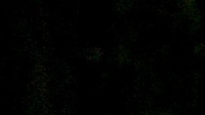 Alfredo Adame hace un llamado por las votaciones de La Casa de los Famosos All-Stars.