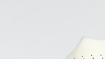 Melanie Carmona dijo que ha recibido "instrucciones".