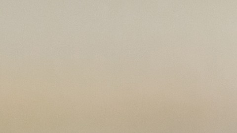 Una experta explica cuáles son los alimentos que no deben faltar en tu cocina.