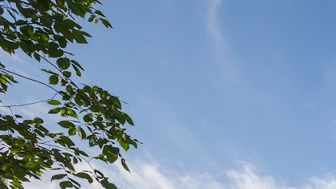 El denunciante que registró en video los abusos declaró que las agresiones semejantes sucedieron con frecuencia en el centro, pero los supervisores "hicieron la vista gorda".