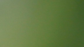 Angélica Rivera aún no ha hablado sobre el tema.