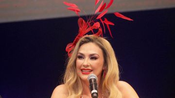 Aracely Arámbula.