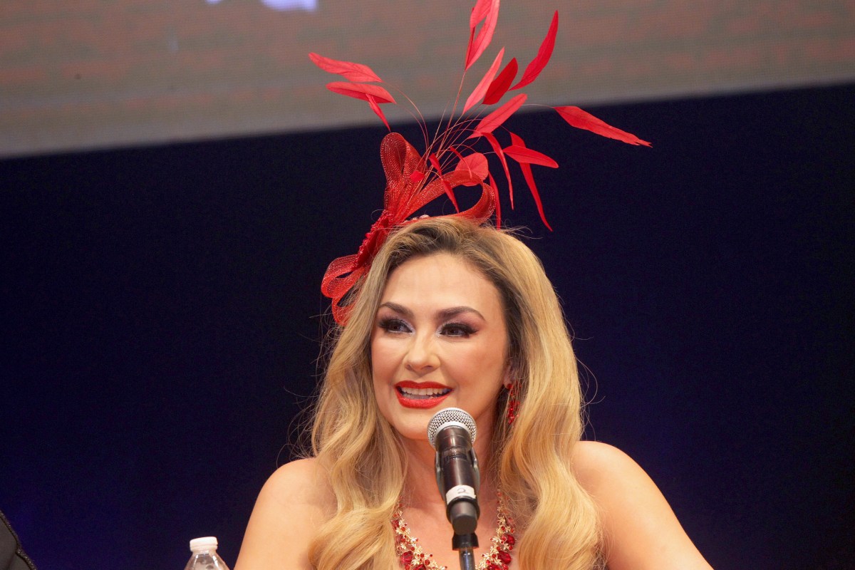 Aracely Arámbula revela el futuro de su hijo en el mundo del espectáculo