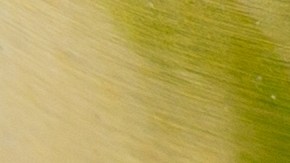 El retiro se produce por un defecto de la tapa de la lata.