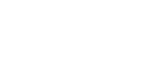 Banda Palma Blanca.