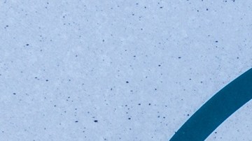 CBP alerta por aumento de licencias de conducir falsificadas: ¿por qué ocurre esto?