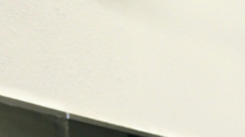 Carolina-Sandoval- (1)