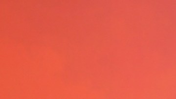 Carolina Sandoval, presentadora de televisión.