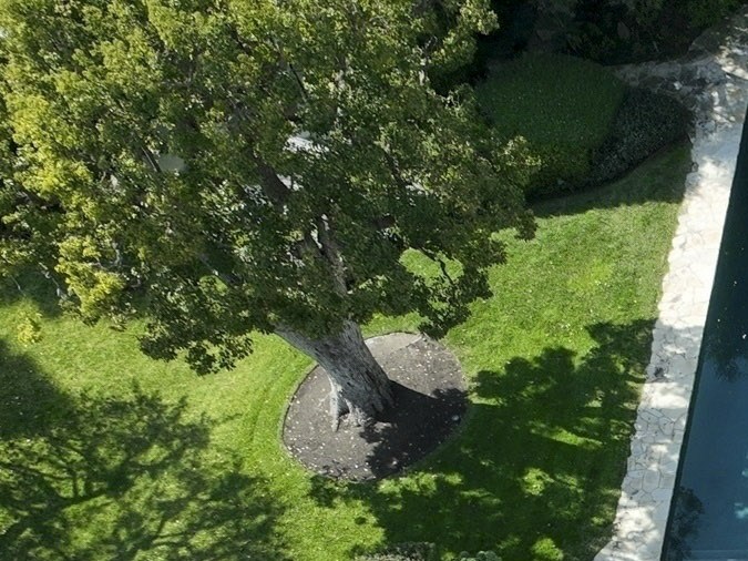 Hay un hueco en el techo de la nueva casa.
