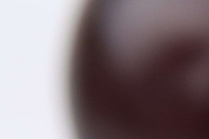 Las ciruelas pasas tienen una alta composición de antioxidantes.