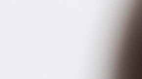 Las ciruelas pasas tienen una alta composición de antioxidantes.