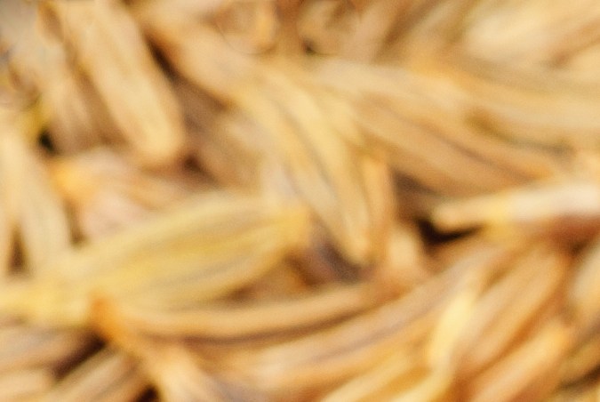 Conoce los beneficios del comino para la salud digestiva y como puede mejorarla.