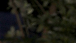 Daniella Navarro, actriz venezolana.