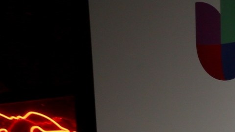 Karina Banda, Amara la Negra, Dra. Nancy, Adamari López y Wendy Guevara.