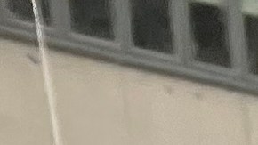 Presionan por seguro de desempleo para indocumentados y trabajadores independientes en NY