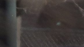 Desfile Philadelphia Eagles.