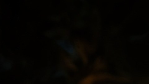 Playa bioluminiscente