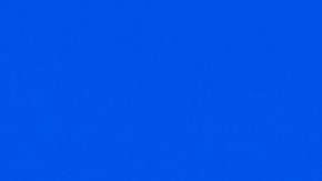 Amy Gleason es quien ejecuta y Elon Musk da la cara, según información de varios medios.