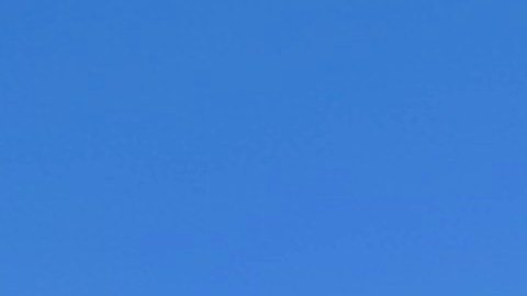 Ecuatorianos de la Gran Manzana urgen apoyo a próximo gobierno de Ecuador