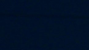 Fans de Club América.