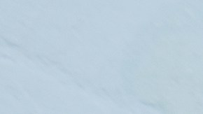 El consumo de fibra ayuda a mejorar la salud intestinal.