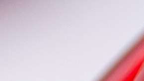 La gelatina de flor de Jamaica es un delicioso snacks.