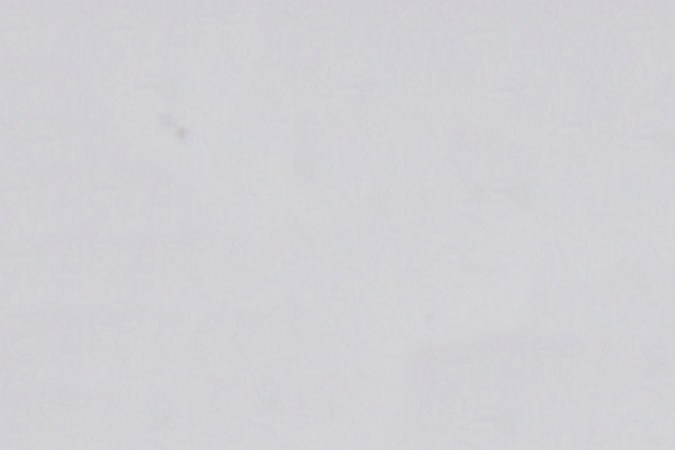 Las guayabas son ricas en vitamina C y minerales.