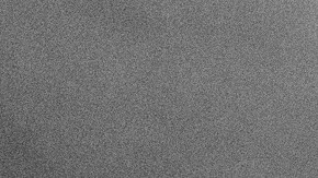 “Anima Animal” es más que un tributo; es un llamado a la reflexión sobre el lugar del ser humano en el mundo natural