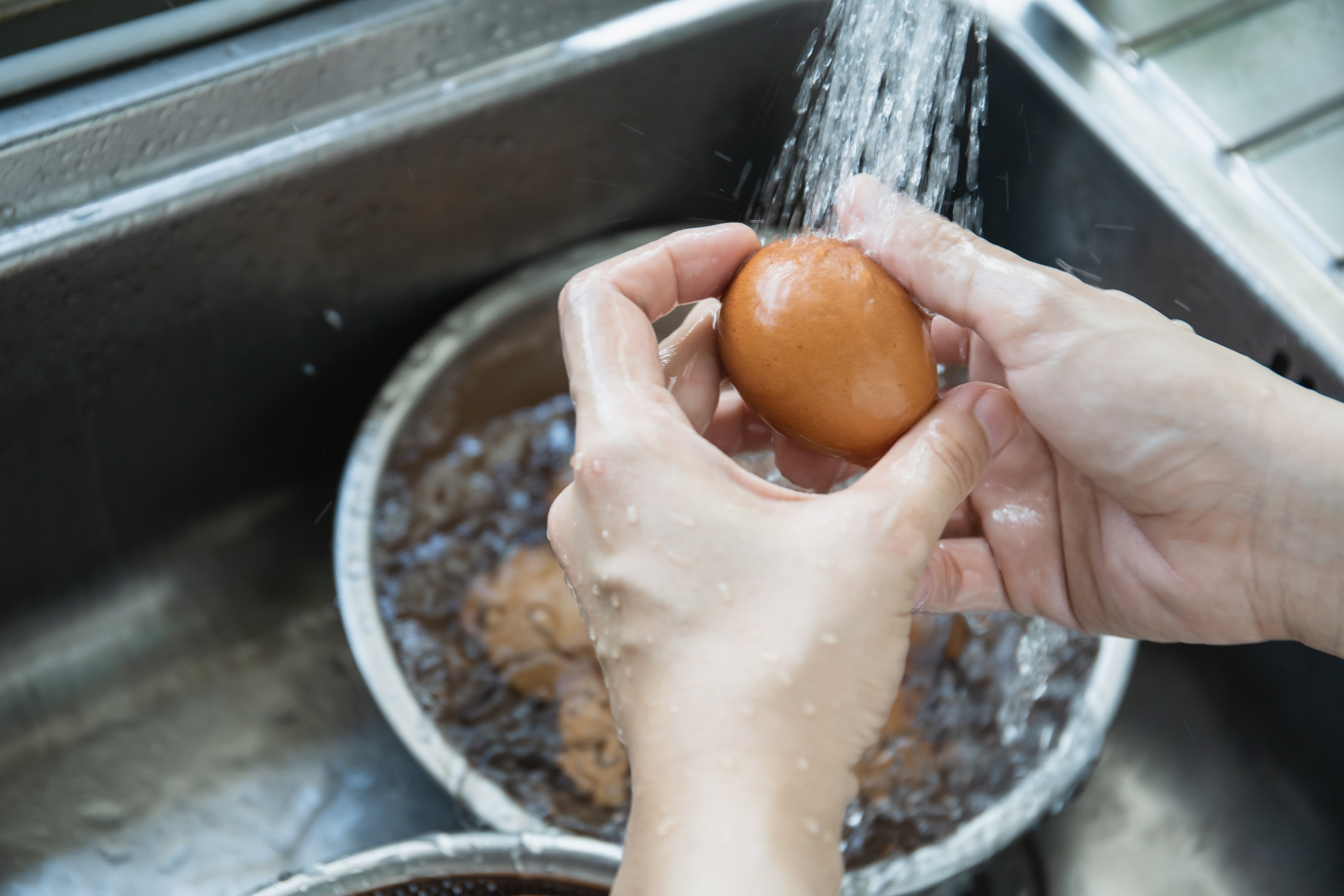 Aunque la piel del huevo es porosa y puede ser atravesada por bacterias.