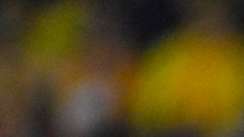 Rodolfo Pizarro reconoce el crecimiento del Club América en la Liga MX.