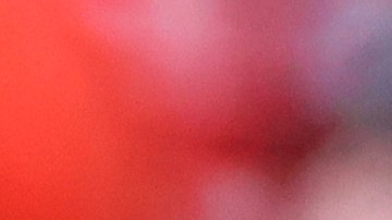 Javier Hernández durante un partido de las Chivas de Guadalajara.