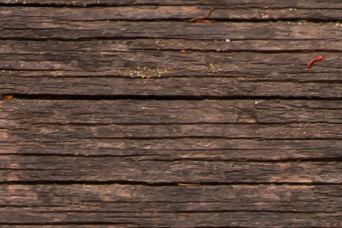 La infusión de hinojo tiene propiedades depurtivas