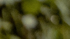 "Yo soy un admirador de Cristian, le tengo mucho cariño y estoy muy feliz de que esta fecha se pueda lograr en Nueva York", señala "El Niño de la Salsa".