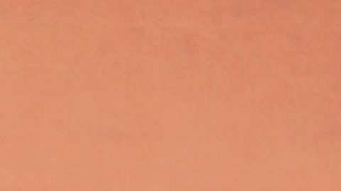 Josh Brolin vivió en Atlanta durante cuatro años.