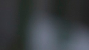 Justin Trudeau dijo que Trump es el único líder que puede impulsar la paz justa y duradera