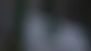 Justin Trudeau dijo que Trump es el único líder que puede impulsar la paz justa y duradera