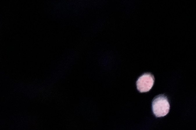 Kendrick Lamar y SZA se presentaron el el medio tiempo del Super Bowl: