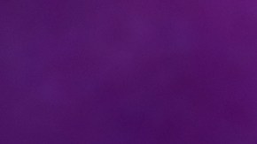 Leonardo Aguilar, Pepe Aguilar y Ángela Aguilar