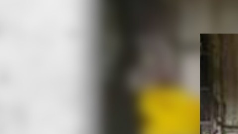 Luis Miguel Pérez fue detenido por ICE, ERO y la Oficina del Sheriff del Condado de Liberty.