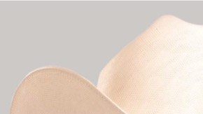 Lupillo, Paulo, Rey y Caramelo protagonizaron hoy una fuerte pelea.