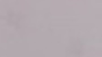 Misty Dawn Lewis, de 36 años, se encuentra en la cárcel del condado de Bexar.