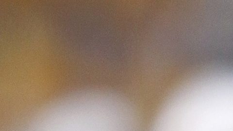 Patrick Mahomes hijo y Patrick Mahomes padre.