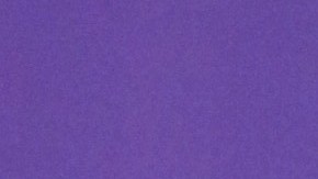 Marc Anthony y Nadia Ferreira.