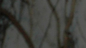 Maribel Guardia y Marco Chacón.