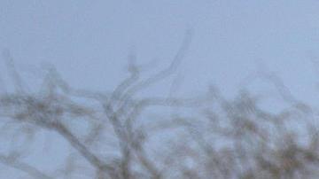 Miembros de la Guardia Nacional (GN) realizan un operativo de búsqueda de un segundo túnel cerca a Río Bravo este miércoles, en Ciudad Juárez (México).