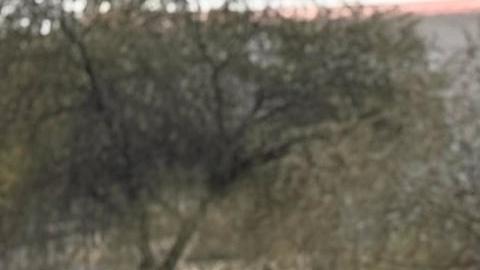 Dos migrantes caminan por unas vías de tren este lunes en la ciudad de Altar en Sonora (México).