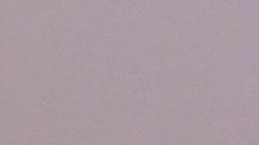 Hubo un error de etiquetado que no reflejaba el contenido de leche.