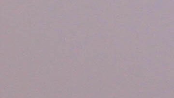 Hubo un error de etiquetado que no reflejaba el contenido de leche.