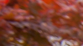 multi generational hispanic family portrait