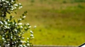 Las autoridades dicen que la mujer está prófuga.